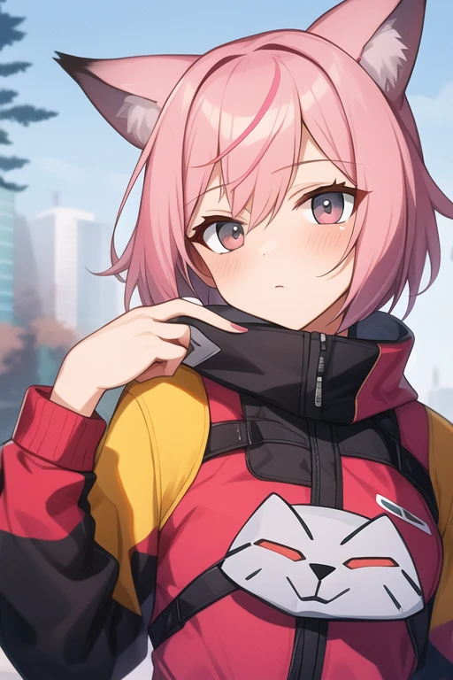 Pink and gray fox