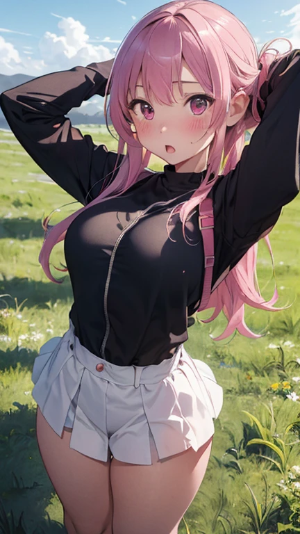 masterpiece、highest quality、Very detailed、Photograph the upper body、1 female、(Put your arms behind your back:1.4)、Are standing、Turn your body forward、View your viewers、(warrior:1.3,armor)、break,blush、shy、Pink Hair、Open your mouth、grassland、Big Breasts、
