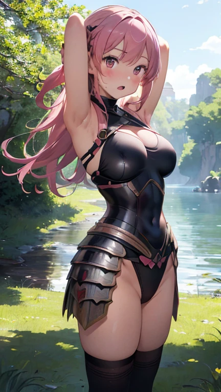 masterpiece、highest quality、Very detailed、Photograph the upper body、1 female、(Put your arms behind your back:1.4)、Are standing、Turn your body forward、View your viewers、(Woman warrior:1.3,armor:1.3)、break,blush、shy、Pink Hair、Open your mouth、grassland、Big Breasts、