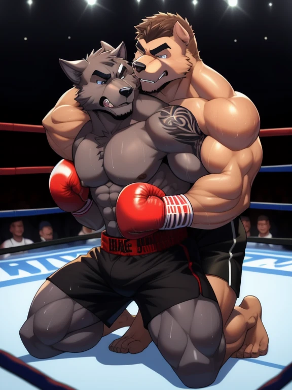 Duo male fighters(Brown Dog vs Gray Dog, handsomes, perfect eyes, Thick eyebrows), beso gay(cuddling kneeling, embraced from behind, fighting in a boxing match), hot(Shirtless), handsomes(They are handsomes, correct anatomy), musculosos(Big muscle bodies, Six packs, muscle abs, big pecs, without nipples, muscle legs, muscle backs), sweaty(very sweaty wet bodies), tatuajes(they have tattoos), Angry(They have an angry expression), Boxing gloves(They both are wearing boxing gloves), Shorts(They are wearing black shorts), Hight resolution 