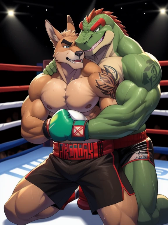 Duo male fighters(Brown Kangaroo vs Green Gator, handsomes, perfect eyes, Thick eyebrows), beso gay(cuddling kneeling, embraced from behind, fighting in a boxing match), hot(Shirtless), handsomes(They are handsomes, correct anatomy), musculosos(Big muscle bodies, Six packs, muscle abs, big pecs, without nipples, muscle legs, muscle backs), sweaty(very sweaty wet bodies), tatuajes(they have tattoos), Angry(They have an angry expression), Boxing gloves(They both are wearing boxing gloves), Shorts(They are wearing black shorts), Hight resolution