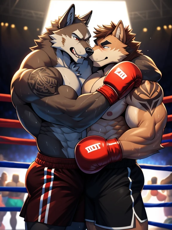 Duo big male fighters(Brown Wolf vs Marrow Wolf, handsomes, Thick eyebrows), beso gay(Cuddling  embraced, after of a boxing match), hot(Full body, shirtless), handsomes(They are handsomes, correct anatomy), musculosos(Big muscle bodies, Six packs, muscle abs, big pecs, muscle legs, muscle backs), sweaty(very sweaty wet bodies), tatuajes(they have tattoos), Angry(They have an angry expression), boxing gloves(They both are wearing reds boxing gloves), shorts(They both are wearing black shorts), Hight resolution