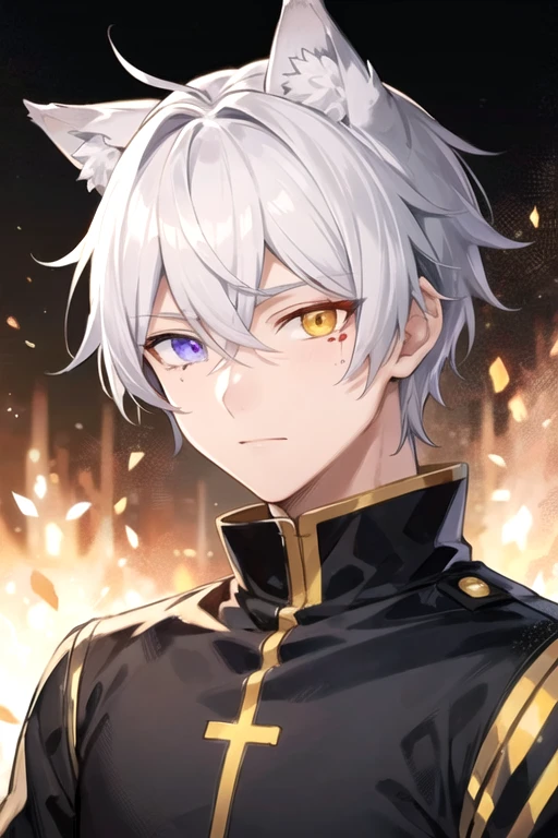 ((highest quality)), ((masterpiece)), (detailed), Perfect Face, One boy, Handsome man, 20〜30 years old, Vtuber model, Very short hair,Cut Hair ((Wolf-eared men)),  Shiny skin, Line art, ((Heterochromia,Left eye shines golden,Right eye glows red,Right eye has bloody tears)), White Hair,Silver Wolf Personification,Take away