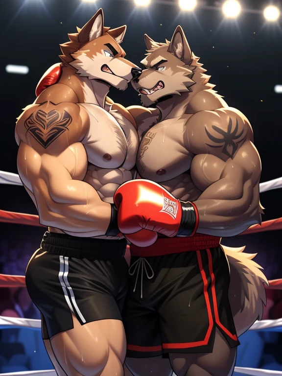 Duo big male fighters(Brown Wolf vs Marrow Wolf, handsomes, Thick eyebrows), beso gay(cuddling embraced body with body, in a boxing match), hot(Full body, shirtless), handsomes(They are handsomes, correct anatomy), musculosos(Big muscle bodies, Six packs, muscle abs, big pecs, muscle legs, muscle backs), sweaty(very sweaty wet bodies), tatuajes(they have tattoos), Angry(They have an angry expression), boxing gloves(They both are wearing reds boxing gloves), shorts(They both are wearing black shorts), Hight resolution