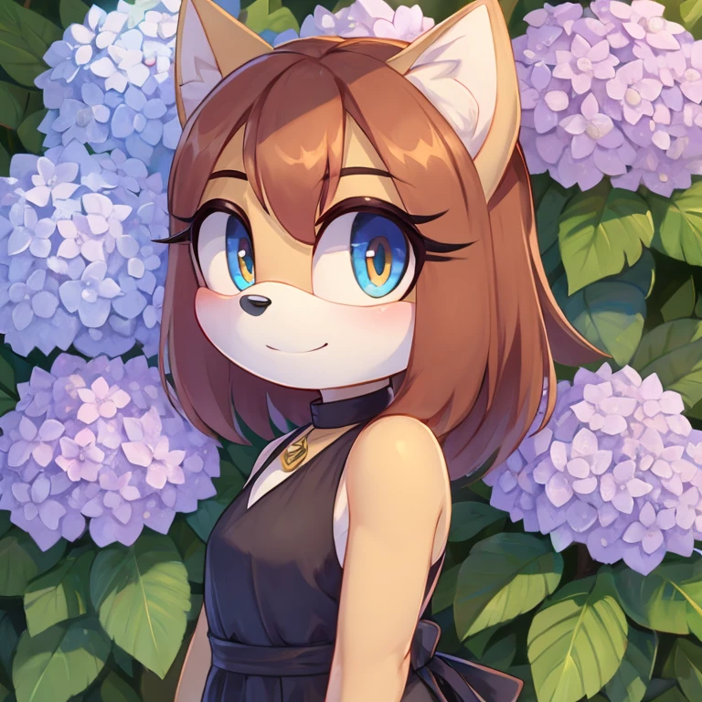 Hydrangea mobian