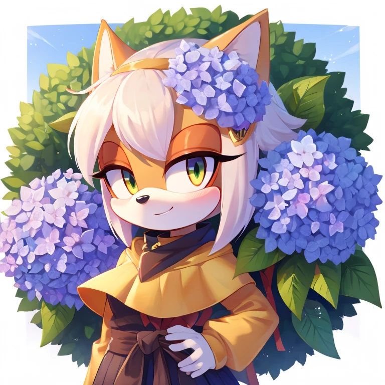 Hydrangea mobian