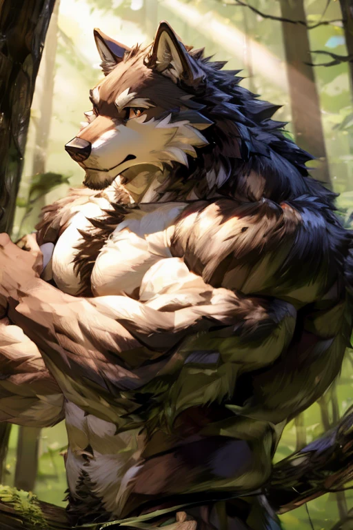 Fluffy brown wolf、Completely naked、Abnormally large muscles、Full body wolf fur、真昼のForest Background、Light background、A situation on a tree branch、Backwards pose、Hairless head、Fluffy, long body hair、Backwards pose、Wolf&#39;s Back、Composition from behind、muscular buttocks、Long brown hair all over the body、Fluffy body、Ruby-like eyes、Very long and profuse armpit hair、Wolf&#39;s Tail、Sharp Claws、A composition that captures the whole body、Jumping pose from tree to tree、Floating pose、Flying in the air pose、Aerial Background、Forest Background