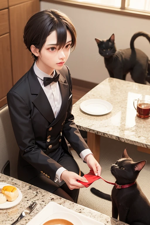 Black Cat Butler