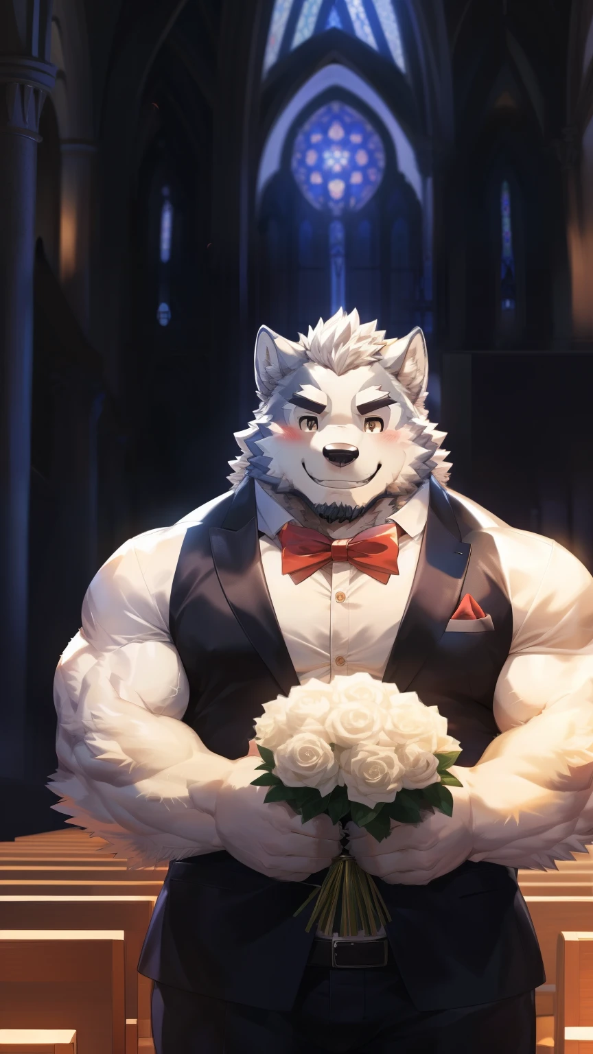 Solitary, anthropology, hairy, hairy male, Wolf, ((Fluffy fur, Fluffy, hairy body)), (Wolf印), (short beard), youth, Gray body, muscular, White, Big muscles, Golden pupils, Tail, deTailed teeth, deTailed face, Fundos, bridegroom, (Black suit suit), (Small red bow tie), Holding a bouquet of white roses, 害羞的站在church门前, deTailed Fluffy fur, deTailed face, ((Look up at the audience)), majestic, barbarous, A faint smile, Blushing, Strong, church, White dove, Half sideways, ((Top view)), (through empty ghost, From wolf26, masterpiece, high quality, high resolution,8k), permanent, Full body portrait, outdoor,