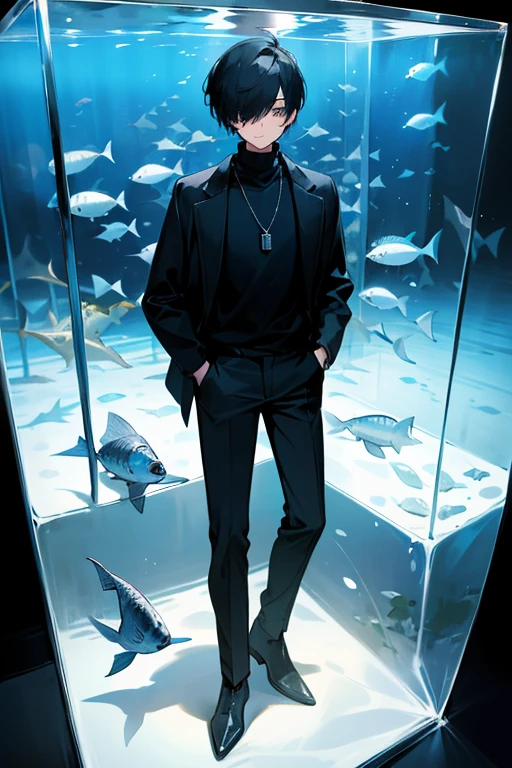 Black hair, necklace, looking at viewer, 1boy, short hair, closed mouth, hair over one eye, black shirt, grey eyes, turtleneck, jacket on the shoulders, black trousers, boots, full body.
Located in an aquarium, in a cube. Water in a cube. Sand. Glass. Fish. Empty space