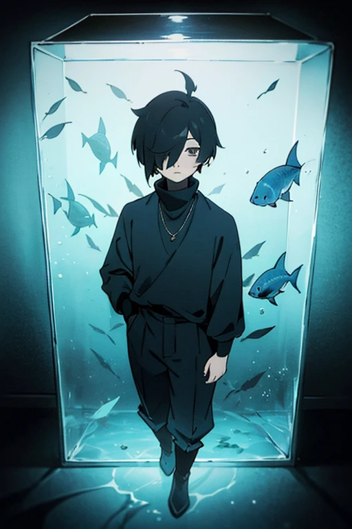 Black hair, necklace, looking at viewer, 1boy, short hair, closed mouth, hair over one eye, black shirt, grey eyes, turtleneck, jacket on the shoulders, black trousers, boots, full body.
Located in an aquarium, in a cube. Water in a cube. Sand. Glass. Fish. Empty space