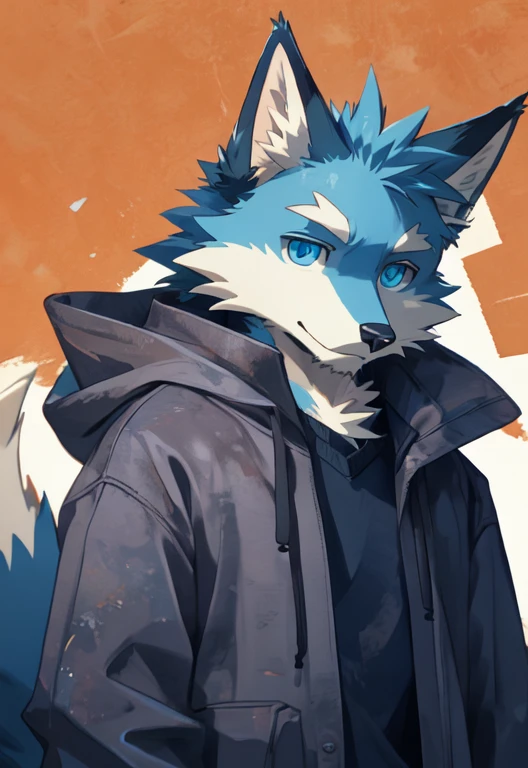 Shota、Cartoon style blue eyed cat and hoodie, Anthropomorphic fox, portrait of Anthropomorphic fox, Ferson art, Ferson!!!!, professional furry, furry Ferson, Tall anime man with blue eyes, as an anime character, Anime style, Anthropomorphic wolves, Ferson commission, Ferson wearing stylish clothes、Gentle expression ，There are nine tails、
