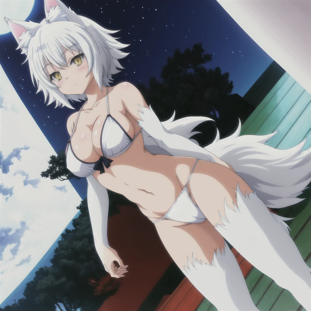 anime girl with cat ears and tail in a white bikini, neferpitou, holo is a wolf girl, anime catgirl, white cat girl, cute anime catgirl, seductive anime girl, beautiful anime catgirl, white - haired fox, holo if a wolf girl, wolf ears, attractive cat girl, nyaruko-san, anime moe artstyle