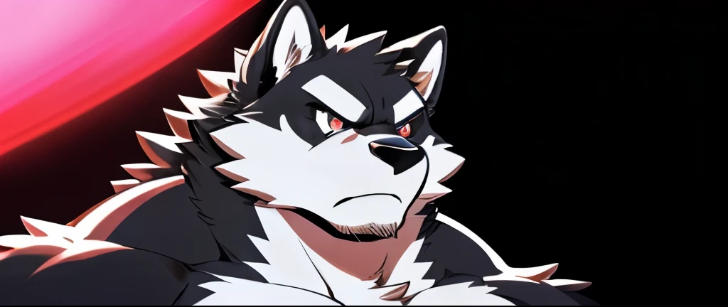 ((Fluffy fur, Fluffy, hairy body)), detailed Fluffy fur, Delicate face, (Glowing eyes, Delicate eyes), (Super detailed), Clear focus, Niji, Eye contact, hairy, (Gray black fur:1.5), White beard, anthropology (Wolf), male, middle aged, (White belly:1.5), (((muscular))), ultra Delicate face, High Detail, high quality, (best quality,4K,8k,high resolution,masterpiece:1.2), author：Takemoto Arashi, From kulplant, through empty ghost, author：69panda, Dynamic Lighting, (Looking at the audience), (Serious face, frown:1.4), (Simple background), (Face focus), (Persona 5 Art Style), (Line Art:1.3), ((increase:1.3))