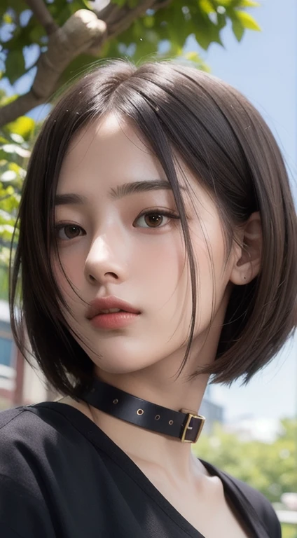 Photorealistic, masutepiece, Best Quality, Raw photo, 1girl in, Solo, Handsome shorthair, copper colored hair、Detailed face, alluring face, Black shirt with collar, medium breasts, Dynamic Pose, Looking at Viewer, From below, Detailed background, fine detailed, intricate detailes, Ray tracing, depth of fields, lowkey, nffsw