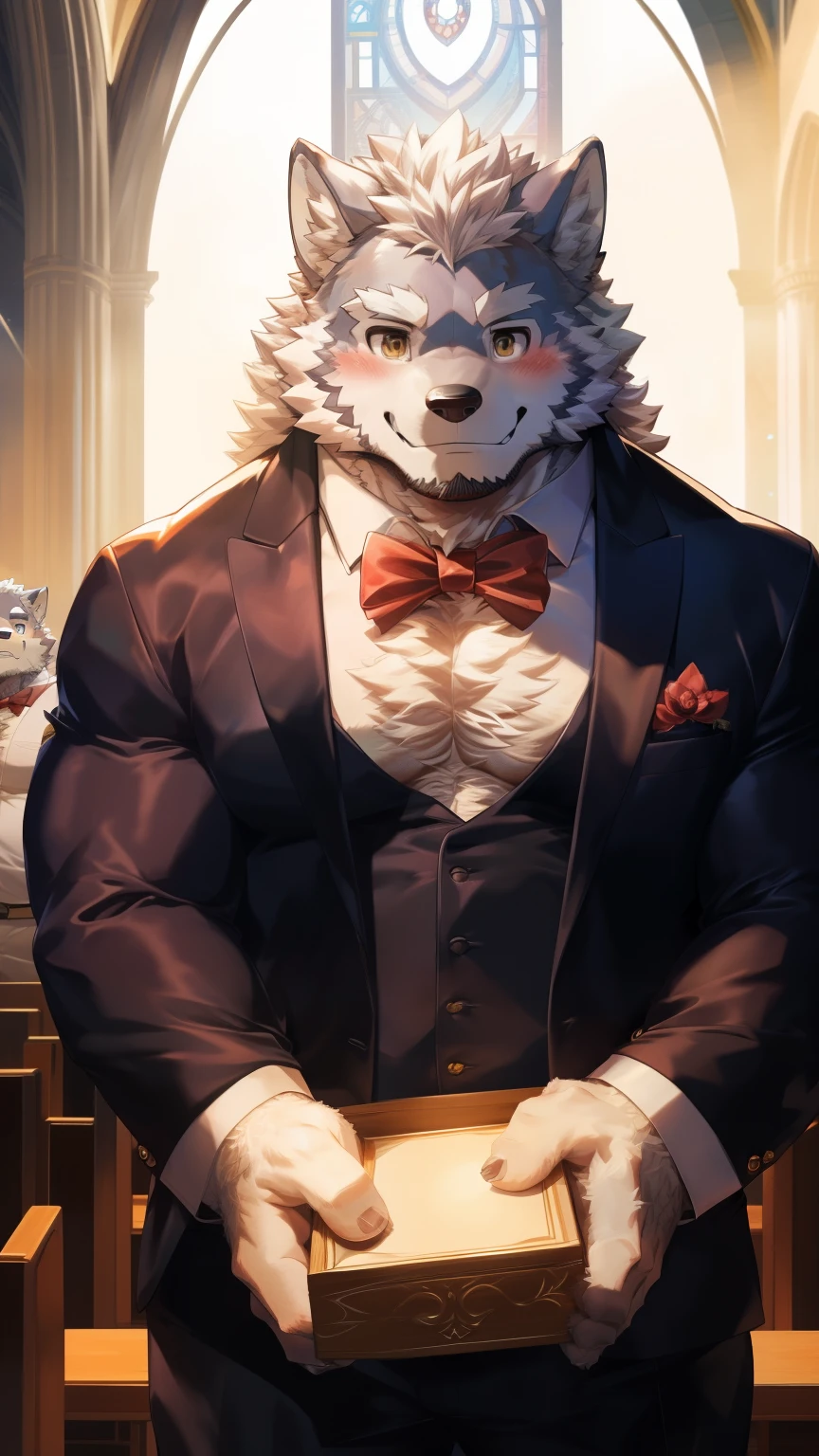 Solitary, anthropology, hairy, hairy male, Wolf, ((Fluffy fur, Fluffy, hairy body)), (Wolf印), (short beard), youth, Gray body, muscular, White, Big muscles, Golden pupils, Tail, deTailed face, Fundos, bridegroom, (Black suit suit), (Small red bow tie), Holding the ring box, 害羞的站在church门前, deTailed Fluffy fur, deTailed face, ((Look up at the audience)), majestic, barbarous, A faint smile, Blushing, Strong, church, White dove, Half sideways, ((Top view)), (through empty ghost, From wolf26, masterpiece, high quality, high resolution,8k), permanent, Full body portrait, outdoor,