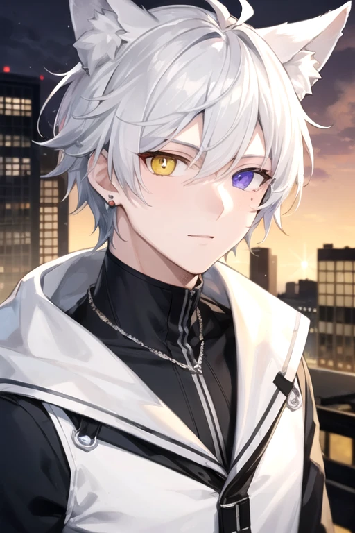 ((highest quality)), ((masterpiece)), (detailed), Perfect Face, One boy, Handsome man, 20〜30 years old, Vtuber model,2d character ((White wolf ears)), Short Hair, Shiny skin, Line art, Silver Hair,Idol Photo,((Heterochromia,Left eye glows yellow,Right eye glows red,Right eye glows red,Jewelry Eye,虹彩Heterochromia))Landscape,Upper body only,City Background,Only 1 person,Fits within the screen