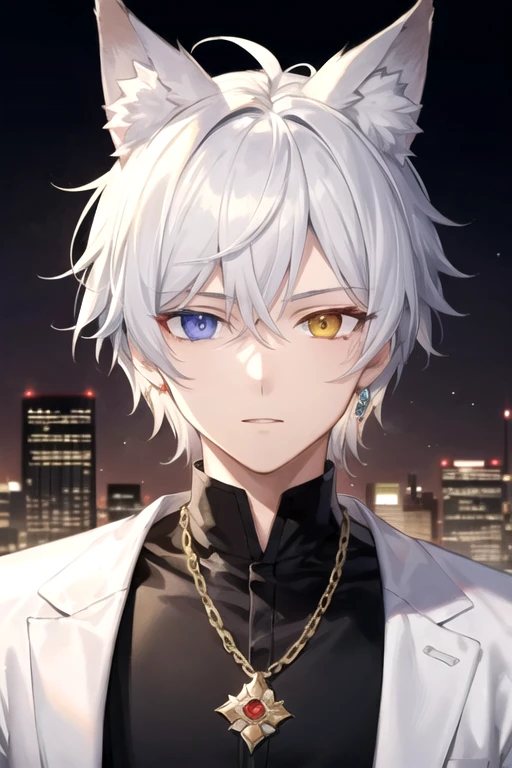 ((highest quality)), ((masterpiece)), (detailed), Perfect Face, One boy, Handsome man, 20〜30 years old, Vtuber model,2d character ((White wolf ears)), Short Hair, Shiny skin, Line art, Silver Hair,Idol Photo,((Heterochromia,Left eye glows yellow,Right eye glows red,Right eye glows red,Jewelry Eye,虹彩Heterochromia))Landscape,Upper body only,City Background,Fits within the screen,Wolf ears won't cut off from the screen