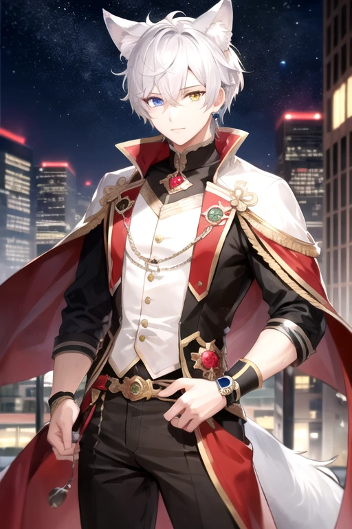 ((highest quality)), ((masterpiece)), (detailed), Perfect Face, One boy, Handsome man, 20〜30 years old, Vtuber model,2d character ((White wolf ears)),  Short Hair, Shiny skin, Line art, Silver Hair,Idol Photo,((Heterochromia,Left eye glows yellow,Right eye glows red,Right eye is red,Jewelry Eye,))Landscape,City Background,The whole body fits on the screen,