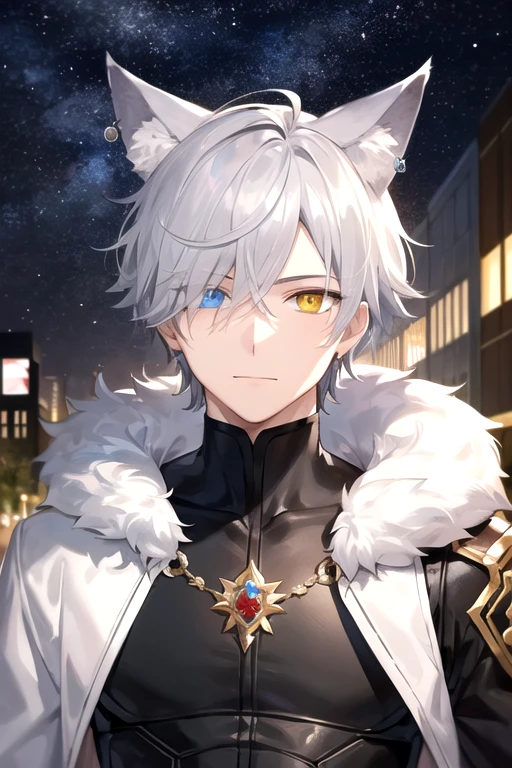 ((highest quality)), ((masterpiece)), (detailed), Perfect Face, One boy, Handsome man, 20〜30 years old, Adult Male,Vtuber model,2d character ((White wolf ears)), Short Hair, Shiny skin, Line art, Silver Hair,Idol Photo,((Heterochromia,Left eye glows yellow,right eye赤く輝く,right eye:Red pupil,Jewelry Eye,))Landscape,City Background,The whole body fits on the screen,Only 1 person