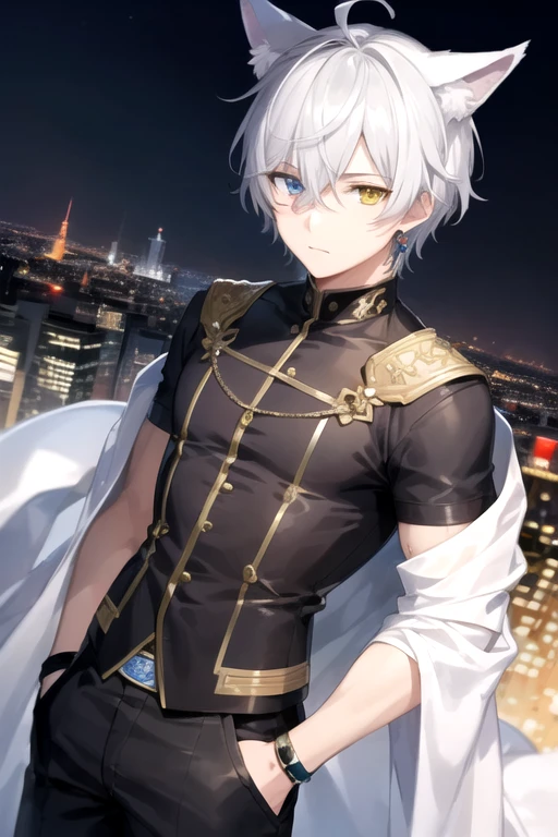 ((highest quality)), ((masterpiece)), (detailed), Perfect Face, One boy, Handsome man, 20〜30 years old, Adult Male,cool,Vtuber model,2d character ((White wolf ears)),  Short Hair, Shiny skin, Line art, Silver Hair,Idol Photo,((Heterochromia,Left eye glows yellow,right eye赤く輝く,right eye:Red pupil,Jewelry Eye,))Landscape,City Background,The whole body fits on the screen,Only 1 person