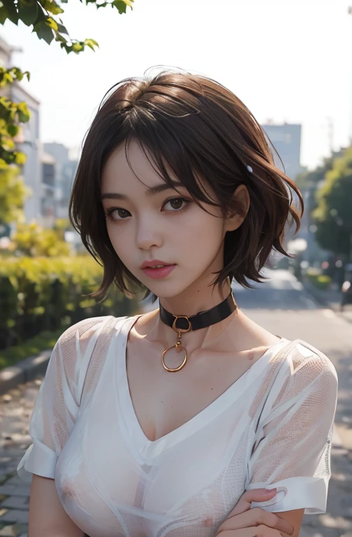 (masterpiece, highest quality),((Very difficult)),(8khighest quality), (1 female), (Asian:1.1), (Covered in semen:1.2) ,Alongside, Beautiful Face, eye contact, Obedient slut, Strike a Pose, blush, choker, Lewd clothing, Short Hair, at the park, Golden Hour, collar, Shiny brown hair, pig'tail, Tied Hair, (Messy Hair:1.2), (Obedient:1.6) high waist, Slim figure, Soft Skin, Soft clothing, Obedient outfits, stockings, ((Sukesuke's costume:1.8)), Beautiful costumes, (See-through costume:1.7),((Big Tits:1.9))、((Perky nipples:1.6))、(Ecstatic expression)、Ecstasy