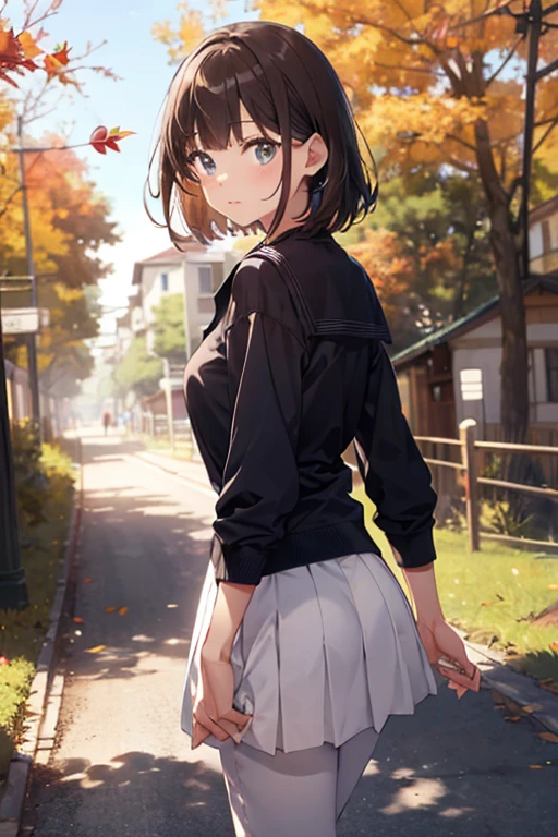 (highest quality、In 8K、32k、masterpiece、Hmph、超A high resolution、Impressionism、Photorealistic:1.2)、Cowboy Shot、Sharp focus、Detailed face and eyes Walking along the tree-lined path々Group of, October, during butn, in butn, Golden autumn, Golden Leaf, butn season, trending photo, November, but, beautiful画像, beautiful美学, autumn, butn season, good day, in butn, !!beautiful!!)、Sharp pupils、Realistic students、beautiful顔、18歳のbeautiful少女、Glowing Skin、Very Short Hair、beautiful dark brown hair、Blunt bangs、Dark blue eyes、Body type: slightly chubby,The breasts are small,The butt is small,barefoot,Winter sailor uniform、Pleated mini skirt、Black socks、(Wearing a skirt、Roll up your skirt、I see your white pants:1.3)、(Embarrassed look:1.2)、Mel Kishida