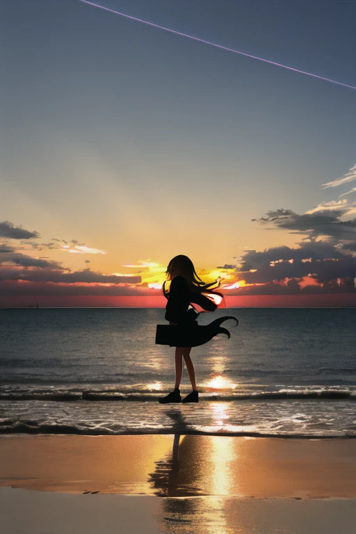 The light of the setting sun reflects fantastically from the seaside and scatters、Flying lights,Silhouette of a girl walking a dog