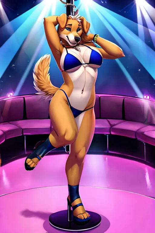 Dog stripper bikini dancing