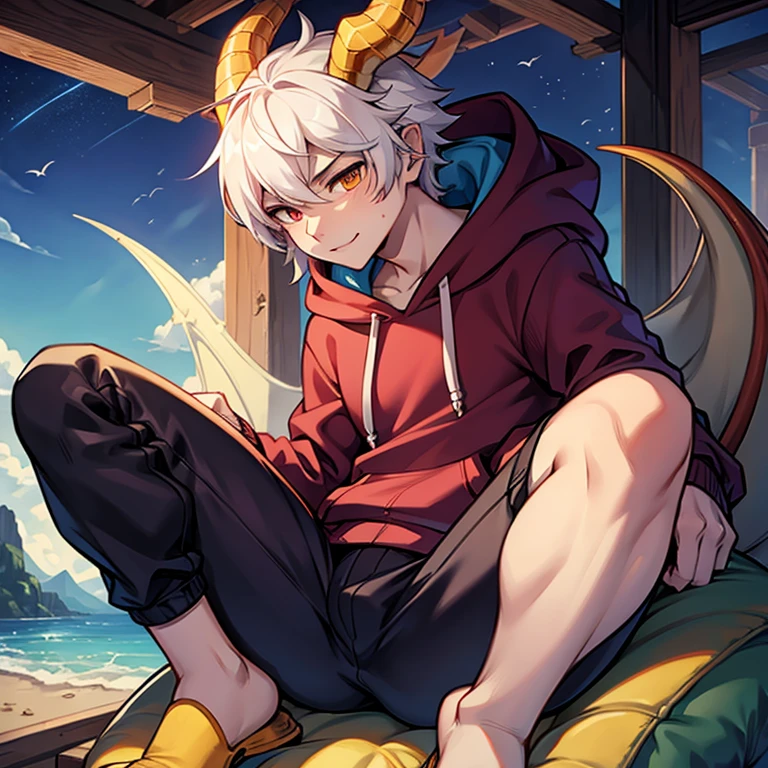Male dragon with hoodie 