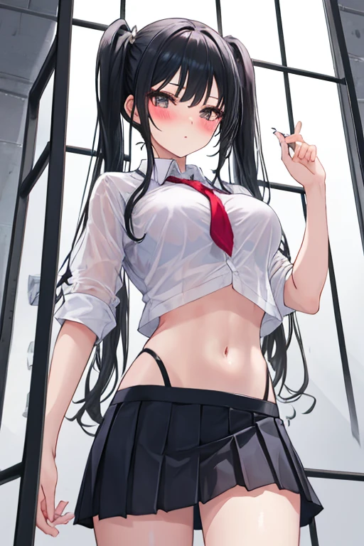 A girl，Imprisoned in an iron cage，twintails，Long hair，Black Hair，((transparent))，shirt，Towering breasts，Sexy Lingerie，Slim waist，Showing belly，Pleated Skirt，Smooth legs，blush，