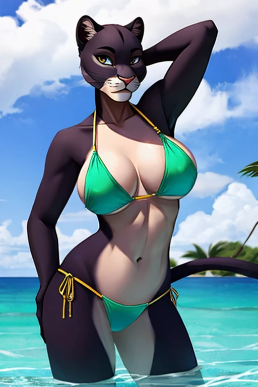 Panther bikini