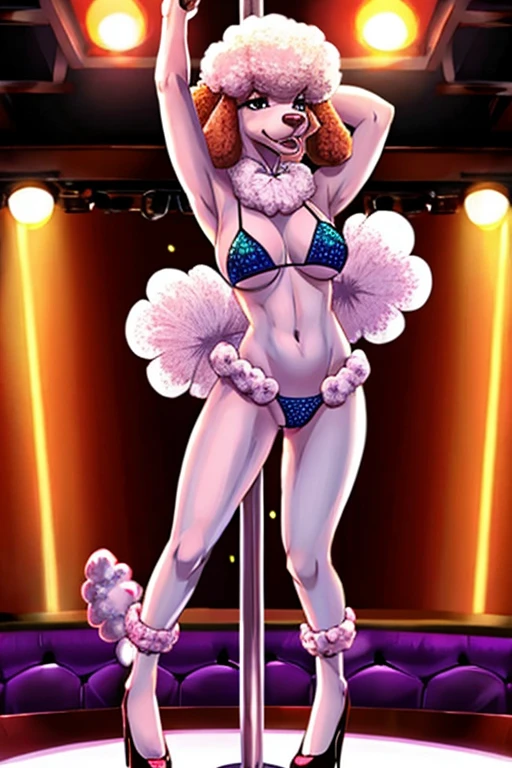 Poodle stripper bikini dancing