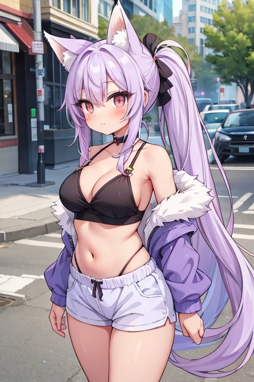 a cute fox girl with a big bushy pony tail with lavender coloured hair and fur, with tanned skin and wearing revealing street attire