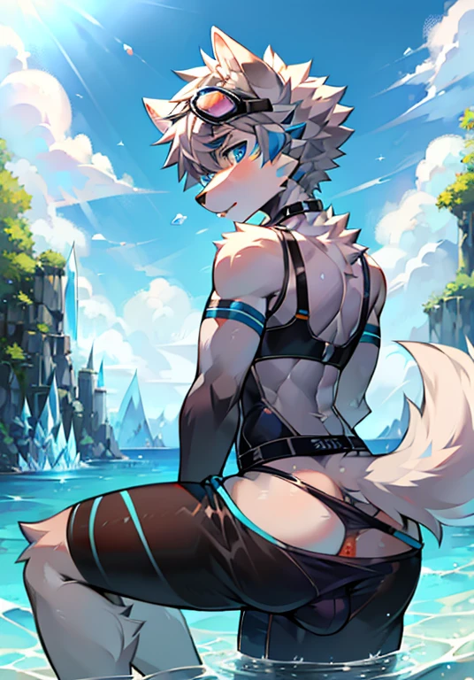 Furry,wolf boy,White fur,crystal blue eyes,Single fluffy tail,greyt hair,short detailed hair,summer day,dive,Wear diving goggles,masculine features,back,Squat,asshole,bulge,((Anus))