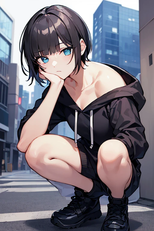 (master piece, best quality, detailed), (1 beautiful girl), (solo:1.3),((blunt bangs)),((black hair)),((Blue eyes)), ((shoulder length hair:1.2,short hair)),, (Expressionless:1.3), (small breast), (crouching:1.3), hoodie, (outdoors, city, alley, night:1.0)