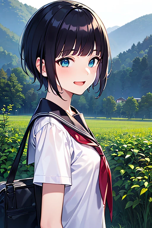 (master piece, best quality, detailed), (1 beautiful girl), (solo:1.3),((blunt bangs)),((black hair)),((Blue eyes)), ((shoulder length hair:1.2,short hair)),************, (laughing:1.3), (small breast), (school uniform:1.3), (evening、Rural landscape、On the way home from school:1.3), from side