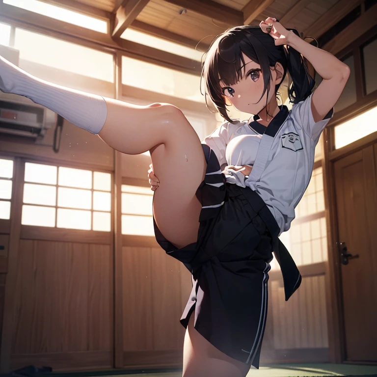 ((Girl, kick, karate uniform )) , (masterpiece, best quality, ultra detailed), (( cinematic lighting, ultra HD, 8k wallpaper, absurdres, )), (( closeup of body, )), tatami , (kicking, high kick, spreading legs, battle, ), (ceiling, ), from Below