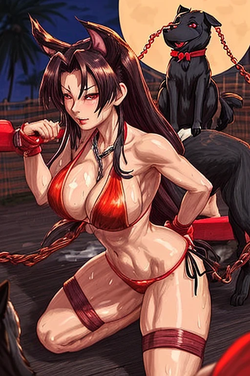 Mai shiranui in a sexy bikini is seductive and bathed in sweat straddling dozens of black dogs and her chain-tied neck using a BDSM dog chain on a farm and she looks very lustful while surrounded by many black dogs at night.
