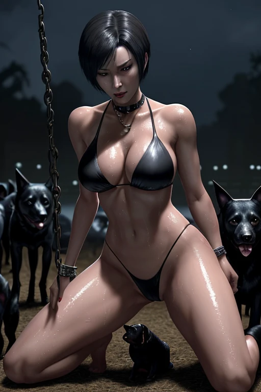 Ada Wong who is wearing a sexy and seductive bikini is bathed in sweat legs astride dozens of black dogs and her neck is chained using a BDSM dog chain on a farm and she looks very horny while surrounded by many black dogs at night.