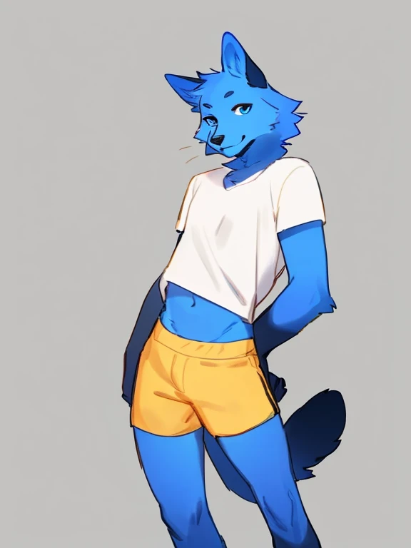 By bebebebebe, by lostgoose, by goonie-san, solo, femboy, feline, cat,wolf, blue fur, blue eyes, black and yellow shirt, shorts, standing, facing viewer,long legs.