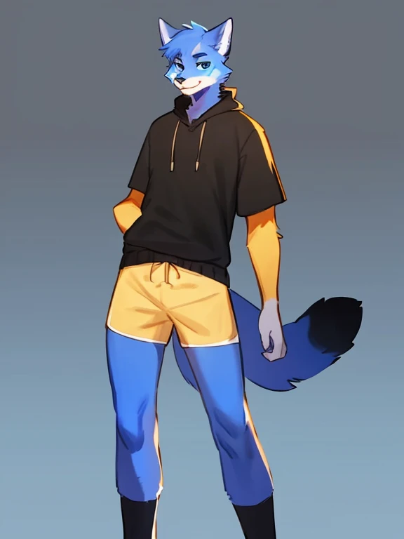 By bebebebebe, by lostgoose, by goonie-san, solo, boy, feline, cat,wolf, blue fur, blue eyes, black and yellow shirt, shorts, standing, facing viewer,long legs,chaqueta.