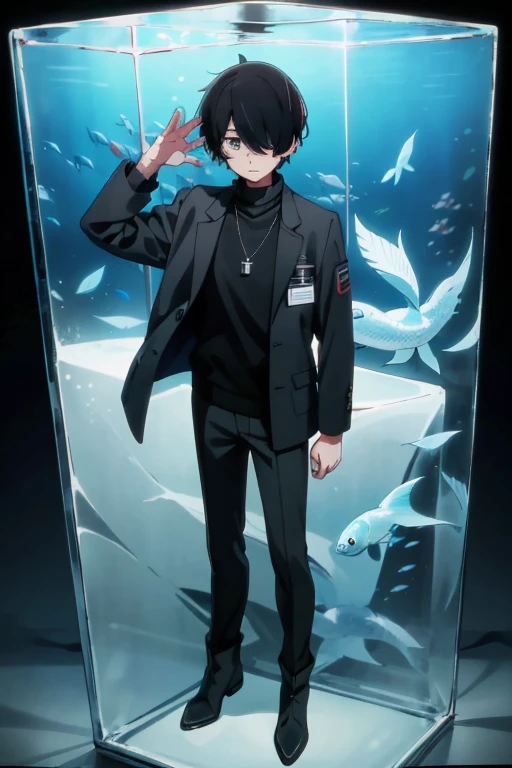 Black hair, necklace, looking at viewer, 1boy, short hair, closed mouth, hair over one eye, black shirt, grey eyes, turtleneck, jacket on the shoulders, black trousers, boots, full body
Located in an aquarium, in a cube. Water in a cube. Sand. Glass. Fish. Empty space