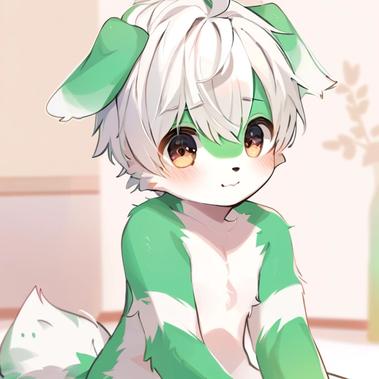 Green fur cute dog、Shy boy with white hair