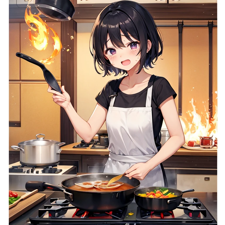 cooking、Frying pan、Flaming、LOL、Open your mouth、tears