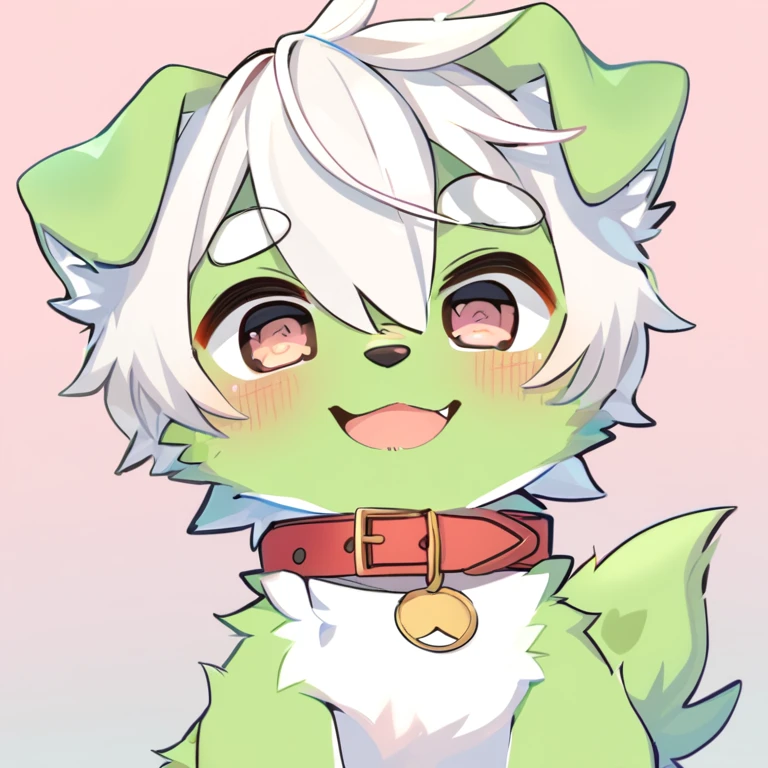 Green fur cute dog、Shy boy with white hair and collar