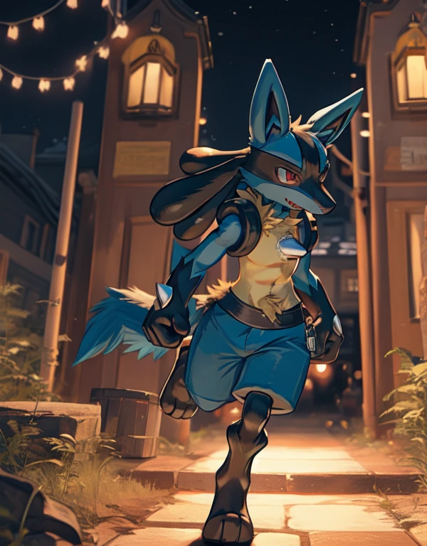 Pokémon_(lucario)