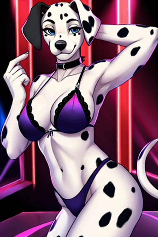 Dalmatian stripper bikini