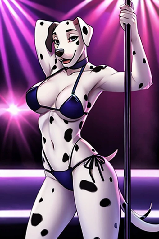 Dalmatian stripper bikini dancing