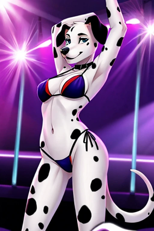 Dalmatian stripper bikini dancing 